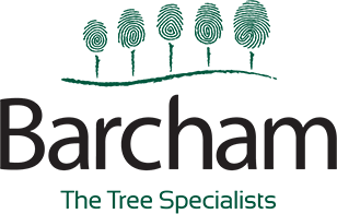 Find your Perfect Tree - Barcham Trees