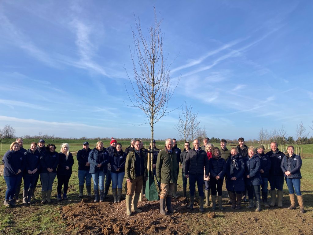 Hi Majesty the King at Barcham Trees nursery with the team